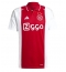 Moški Ajax Steven Berghuis #23 Replika nogometni dresi Domači 2024-25 Kratek Rokav