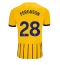 Moški Brighton Evan Ferguson #28 Replika nogometni dresi Gostujoči 2024-25 Kratek Rokav