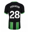Moški Brighton Evan Ferguson #28 Replika nogometni dresi Tretji 2024-25 Kratek Rokav