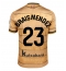 Moški Real Sociedad Brais Mendez #23 Replika nogometni dresi Gostujoči 2024-25 Kratek Rokav