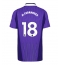 Moški Tottenham Hotspur Mateus Fernandes #18 Replika nogometni dresi Tretji 2026-27 Kratek Rokav