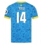 Moški Wolves Tolu Arokodare #14 Replika nogometni dresi Tretji 2025-26 Kratek Rokav