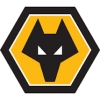 Otroški dresi Wolves